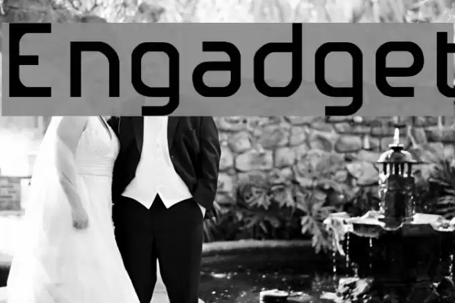 Engadget Font examples