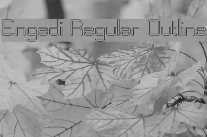 Engadi Regular Outline Example 2