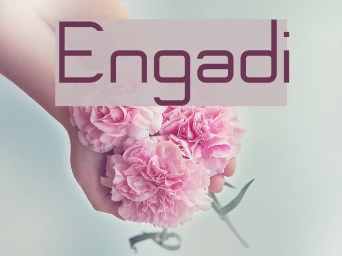 Engadi Font examples