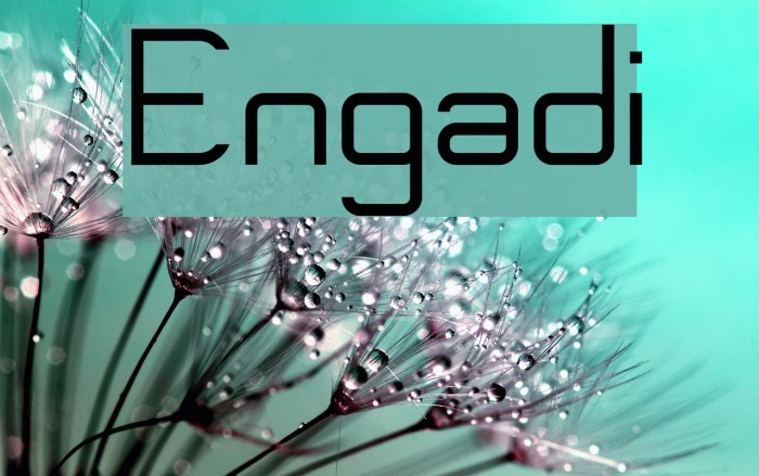 Engadi Font examples
