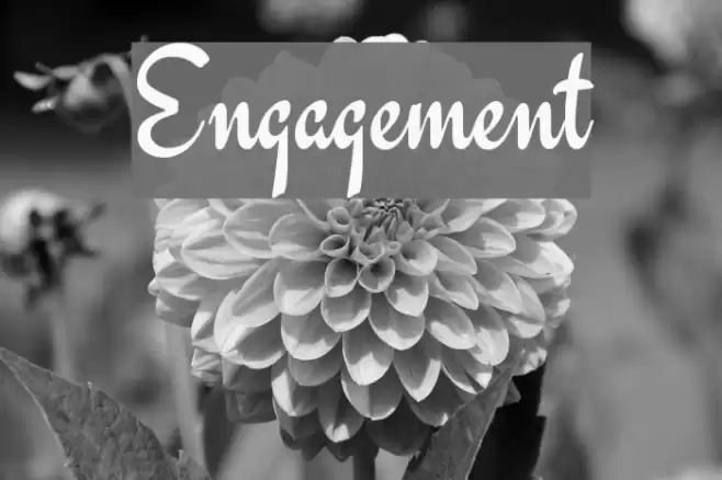 Engagement Fonte examples