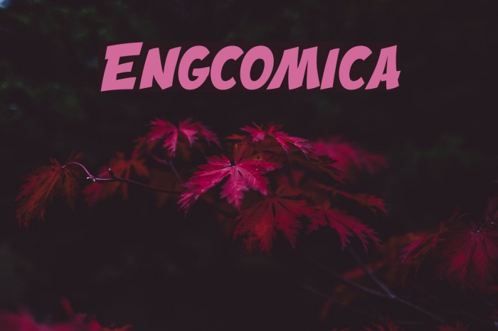 Engcomica Font examples