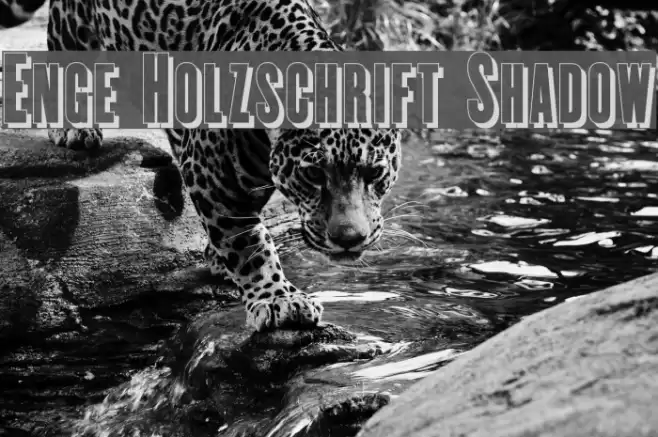 Enge Holzschrift Shadow Font examples