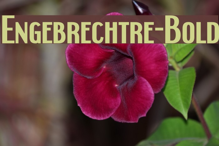 Engebrechtre-Bold Font examples