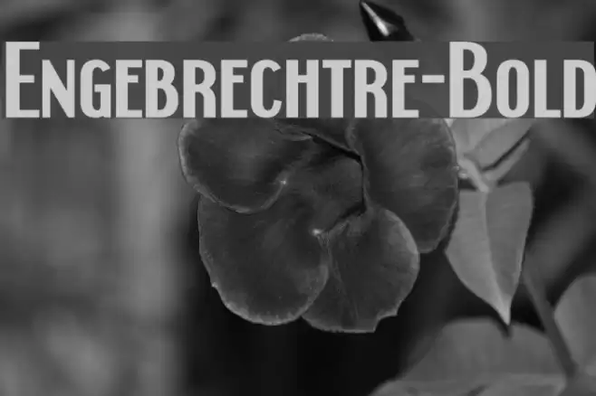 Engebrechtre-Bold Fonte examples