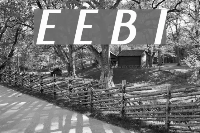 Engebrechtre Expanded Bold Italic Font examples