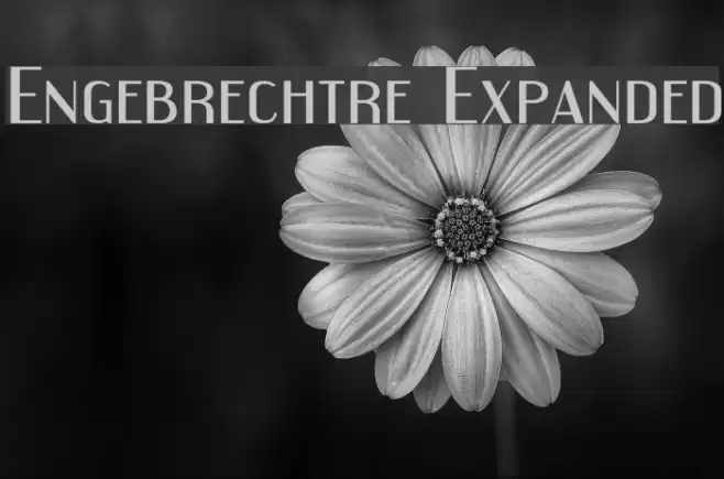 Engebrechtre Expanded Font examples