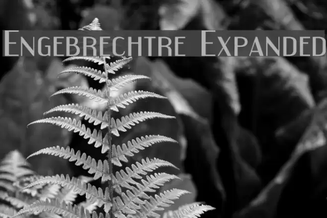 Engebrechtre Expanded Font examples