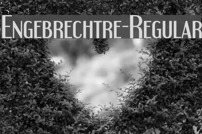 Engebrechtre-Regular Example 1