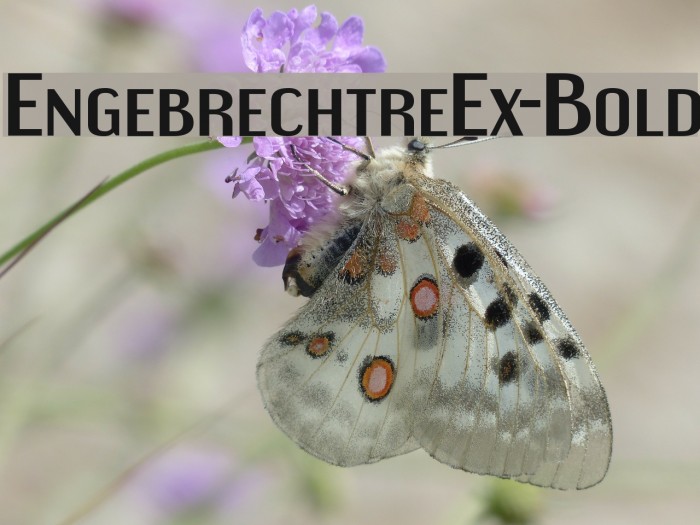 EngebrechtreEx-Bold Font examples