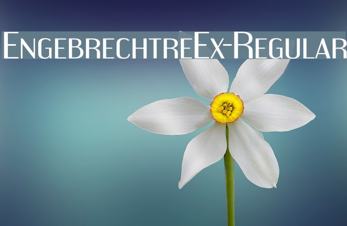 EngebrechtreEx-Regular Font examples