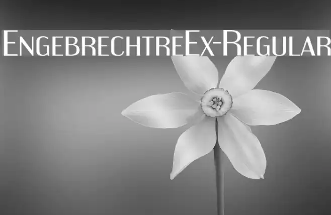 EngebrechtreEx-Regular Example 1
