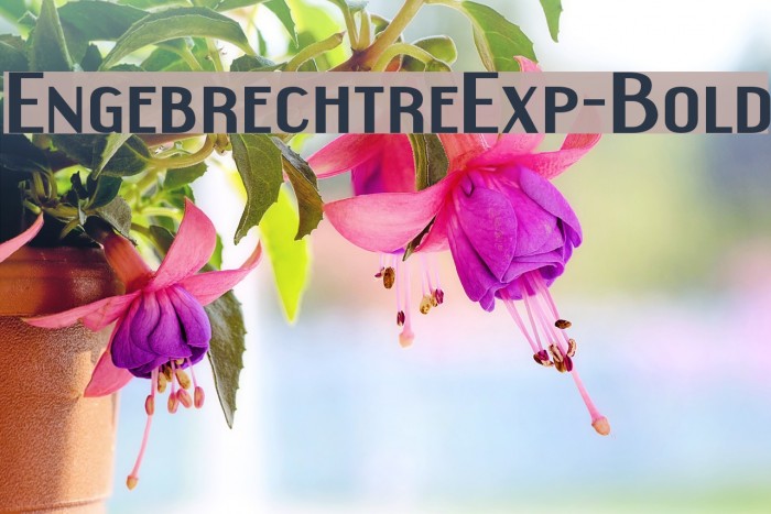 EngebrechtreExp-Bold Font examples