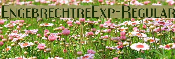 EngebrechtreExp-Regular Font examples