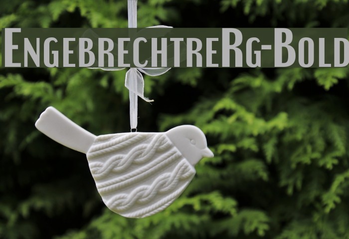 EngebrechtreRg-Bold Example 2
