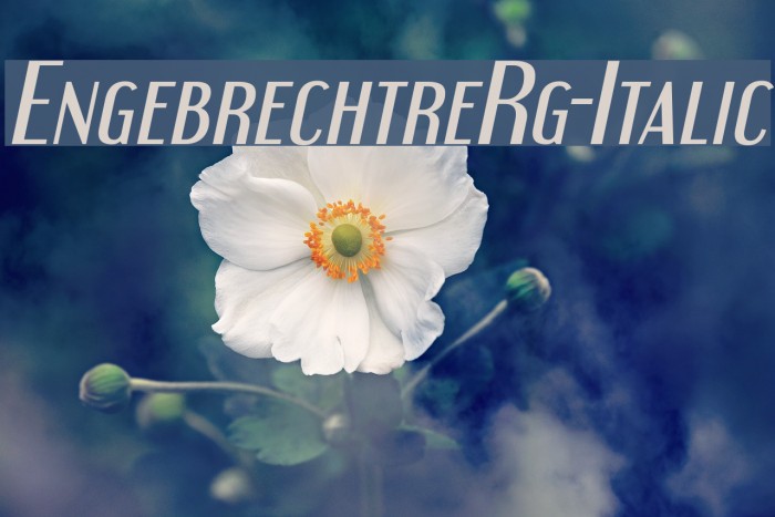 EngebrechtreRg-Italic Font examples
