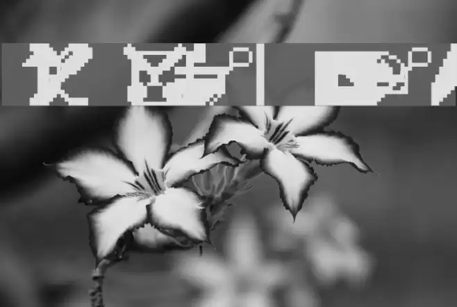 Engelbart Raw Font examples