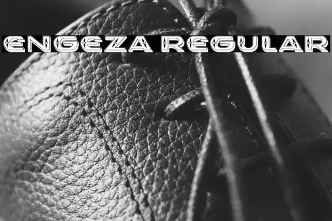 Engeza Regular Caratteri examples