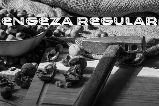 Engeza Regular Caratteri examples