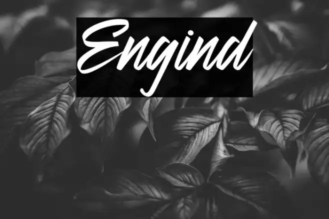 Engind Example 2