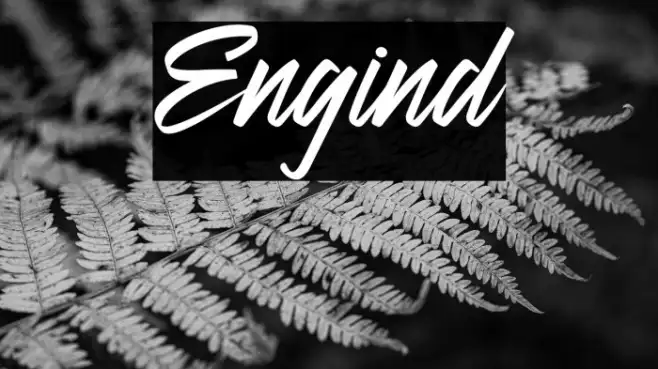 Engind Example 3