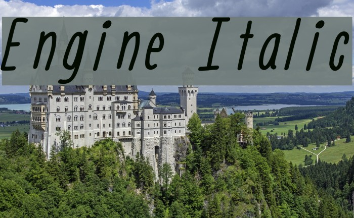 Engine Italic Font examples