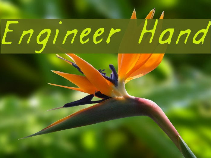 Engineer Hand Font examples