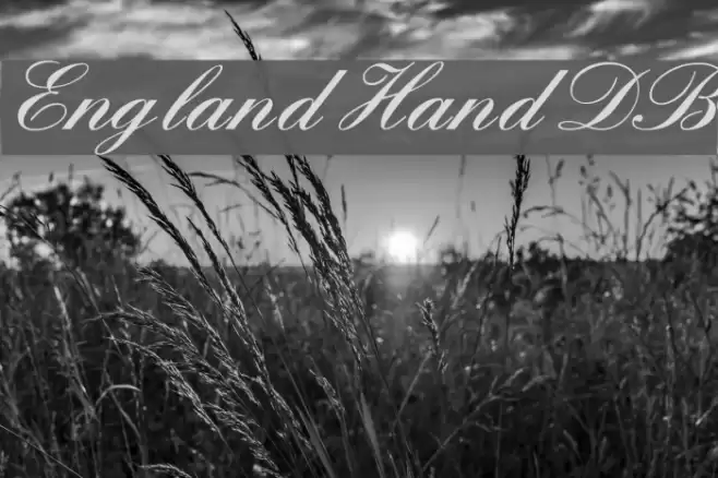 England Hand DB フォント examples