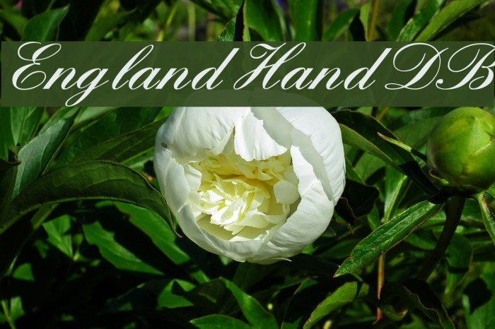 England Hand DB Font examples