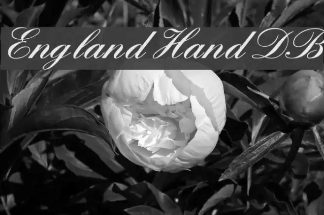 England Hand DB フォント examples