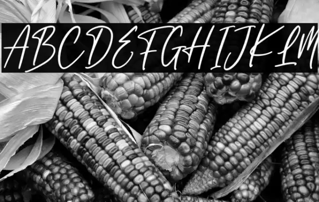 England Signature Font examples