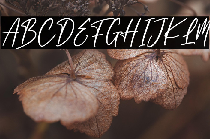 England Signature Example 2