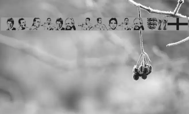 England squad 2006 Font examples