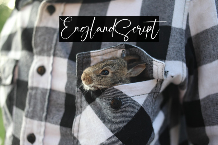 EnglandScript Example 1