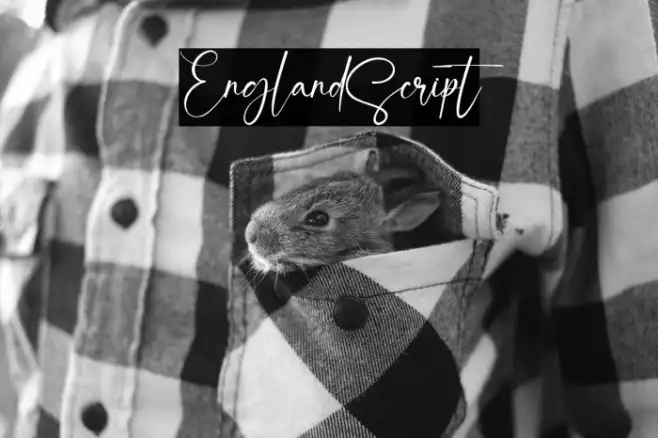 EnglandScript Example 1