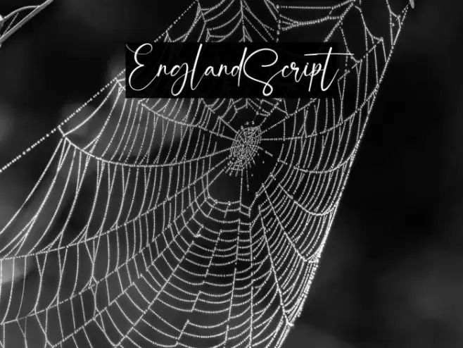 EnglandScript Font examples