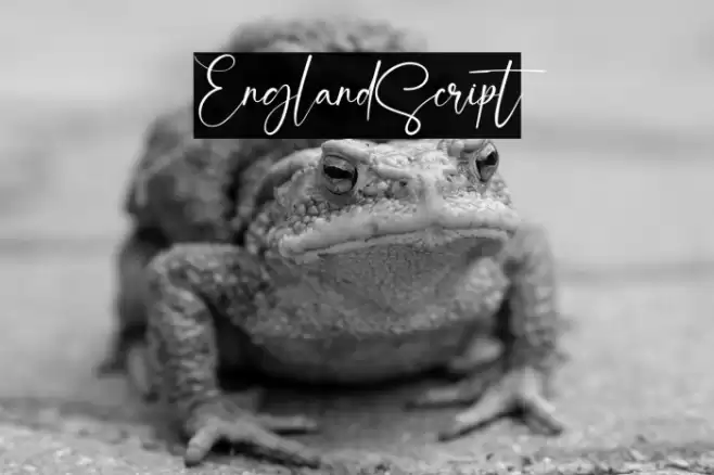 EnglandScript Font examples