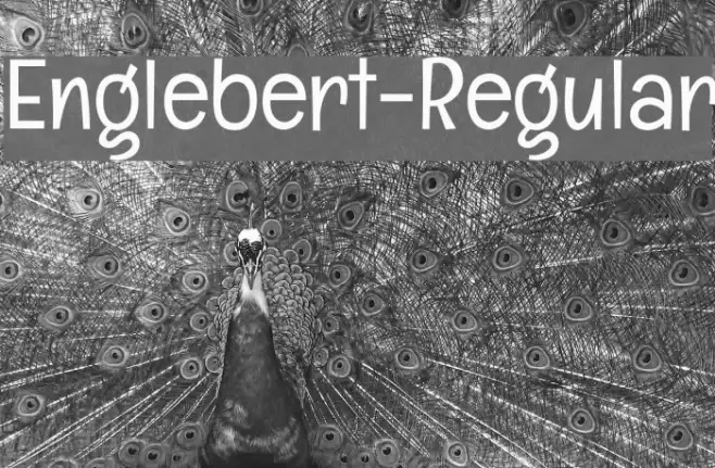 Englebert-Regular Example 3