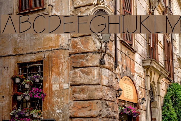 English-Russian Architect Font examples