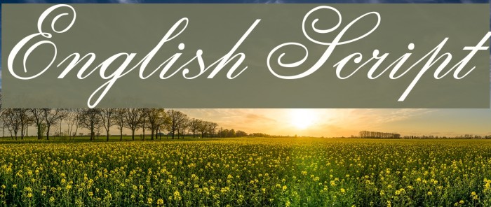 English Script Font examples
