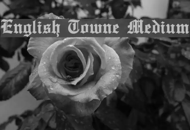 English Towne Medium Font examples