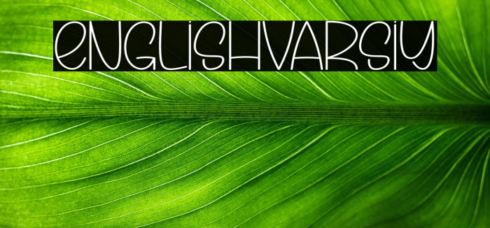 English Varsity Example 2