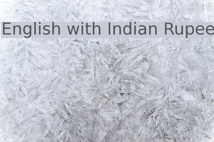 English with Indian Rupee Font examples