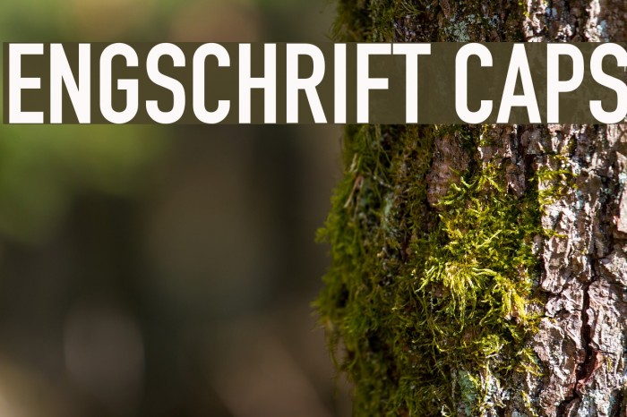 Engschrift Caps Font examples
