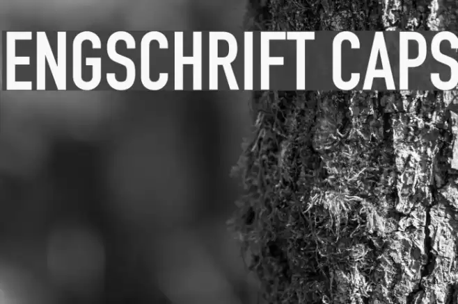 Engschrift Caps Font examples