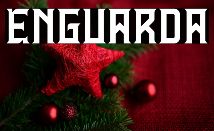 Enguarda Example 2