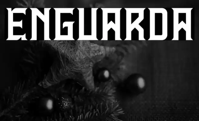 Enguarda Font examples