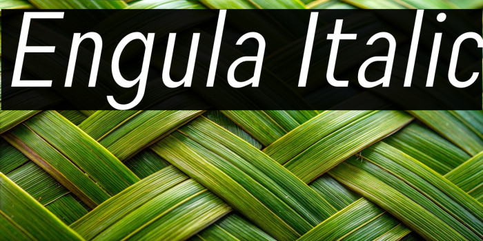 Engula Italic Example 2