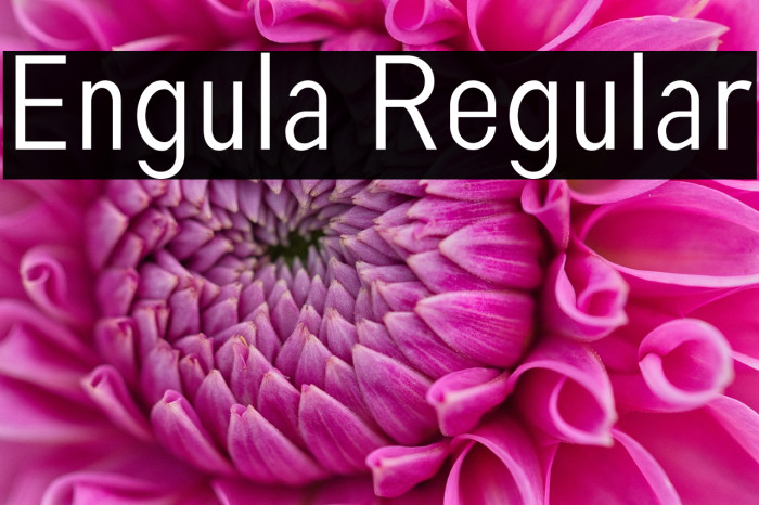 Engula Regular Example 1