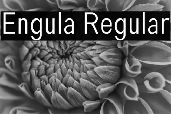Engula Regular Example 1